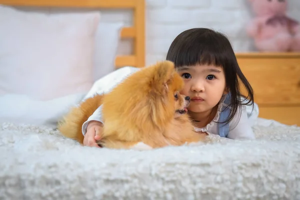 一个小女孩抱着愤怒的狗躺在卧室的床上 — 图库照片