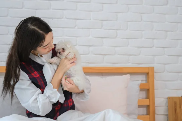 年轻的亚洲女人对这只白狗的爱是显而易见的 她把它紧紧地抱在卧室的床上 — 图库照片