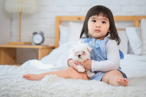 Room Filled Sense Warmth Comfort Little Girl Hold Her Furry — Stock Photo, Image