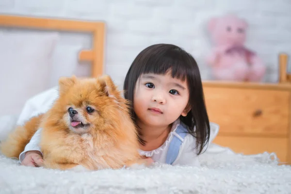 小さな女の子と彼女のポメラニアン毛皮の仲間としてベッドの上に抱きしめ — ストック写真