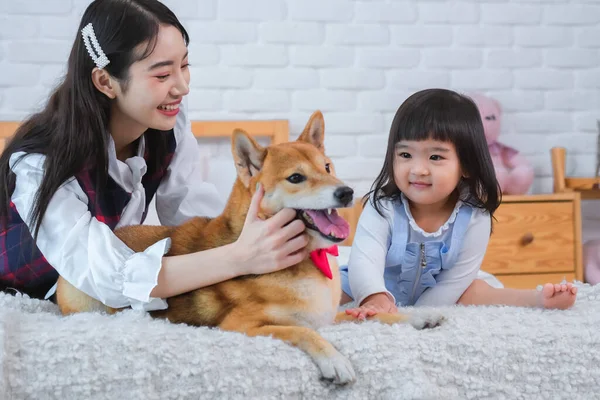 Beautiful asian girl and the little girl were both kind and considerate towards the Shiba dog, ensuring that it was safe and happy during their playtime on the bed in the bedroom.