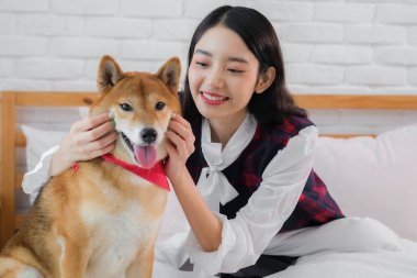 Güzel Asyalı bir kadın yatakta tatlı köpek yanağına dokunuyor ve gülümsüyor..