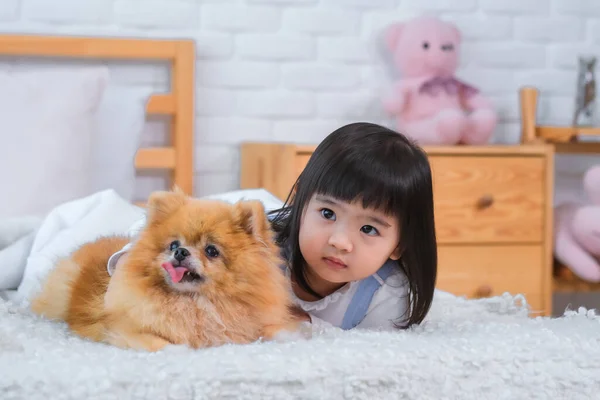 Soft Fur Dog Provided Warm Cozy Embrace Little Girl Cherished — Stock Photo, Image