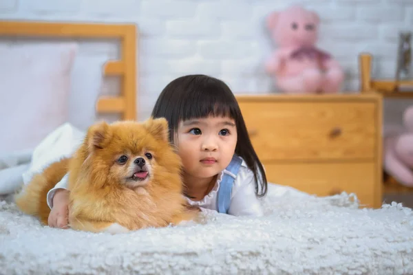 Little Girl Embraced Her Furry Friend She Felt Deep Sense — Stock Photo, Image