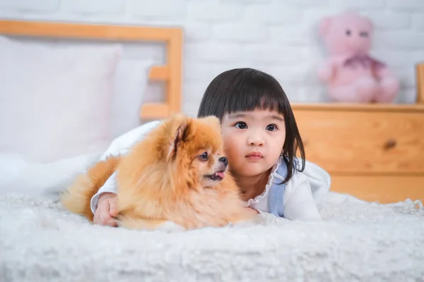 Собака Здавалося Само Задоволений Маленька Дівчинка Обіймається Всій Любові Уваги — стокове фото