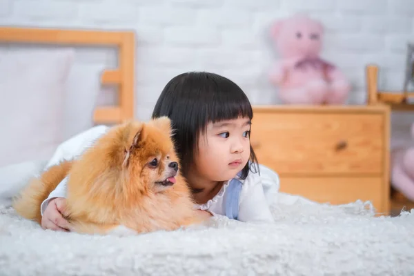 Küçük Kızın Tüylü Arkadaşının Etrafındaki Sıcacık Kucaklaşması Sevgili Evcil Hayvanına — Stok fotoğraf