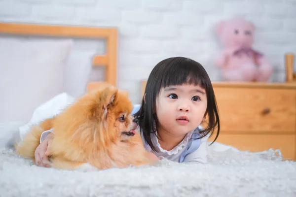 Küçük Kız Evcil Hayvanıyla Yatağa Uzandı Kız Hiç Bitmesini Istemediği — Stok fotoğraf