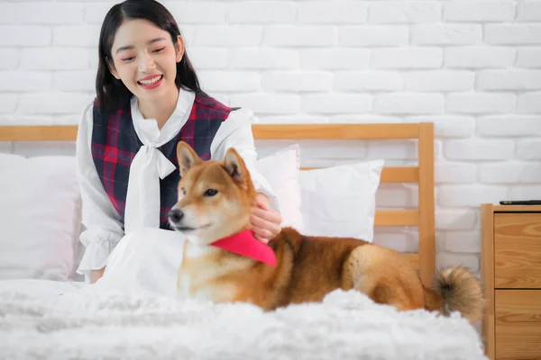 在舒适的卧室里 美丽的亚洲女人凝视着自己心爱的可爱的爱犬时 眼中闪烁着喜悦的光芒 — 图库照片