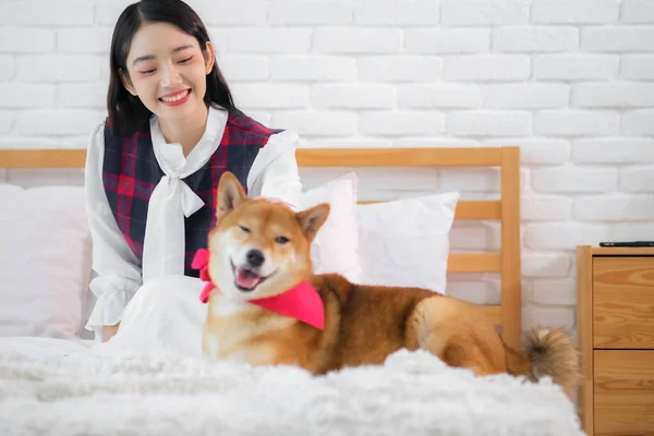 Güzel Asyalı Kadın Gülümsüyor Yataktaki Mutlu Shiba Inu Köpeğine Bakıyor — Stok fotoğraf