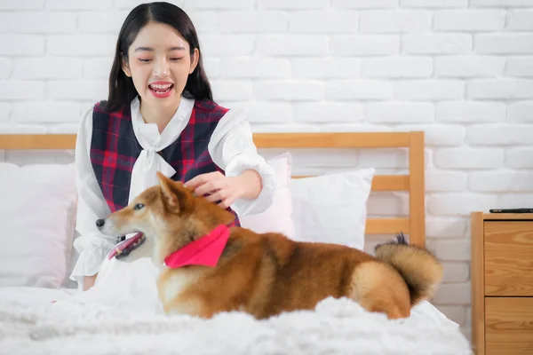 Güzel Asyalı Kadın Köpeğinin Kafasını Okşarken Kızın Gülümsemesi Genişledi Yatak — Stok fotoğraf