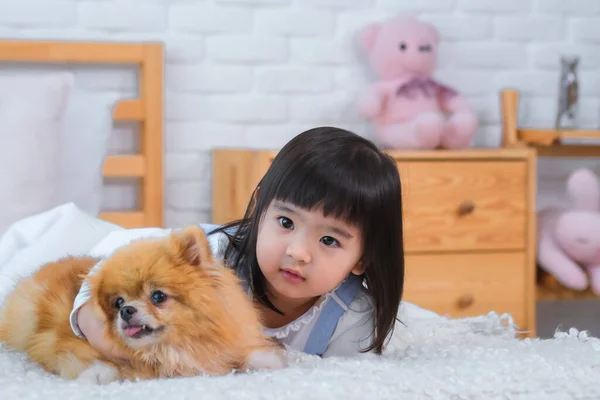 Pies Delikatnie Oddycha Spokojne Zachowanie Wydaje Się Uspokajać Dziecko Sprawiając — Zdjęcie stockowe