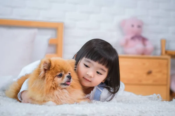 Köpek Sıcak Kürkünün Yanına Uzandı Yatak Odasında Köpeğine Bakarken Çocuğu — Stok fotoğraf