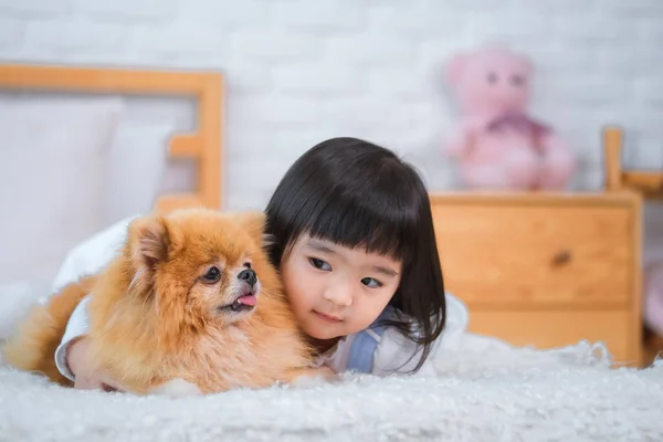 She Rested Bed Bedroom Her Loyal Companion Little Girl Face — Stock Photo, Image