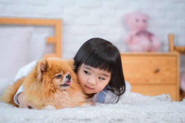 犬は彼女の暖かい毛皮の横に横たわっていた寝室のベッドの上の子供に快適さを提供する — ストック写真