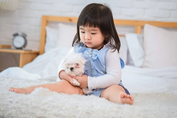 As little girl holding the dog on bed in bedroom their bodies pressed close a sense of peace and contentment enveloped them both creating a serene atmosphere of love.