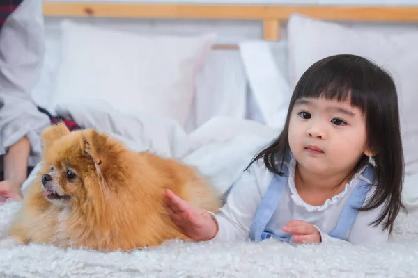 小さな女の子と彼女の犬がベッドの上に一緒に横たわっていたので 部屋は純粋な幸福でいっぱいだった彼らが共有する無条件の愛への証拠 — ストック写真