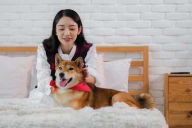 Güzel Asyalı kadın sevgi ve endişeyle dolu bir kalple sevgili Shiba Inu köpeğiyle yatak odalarındaki rahat yatakta vakit geçirerek teselli buluyor..