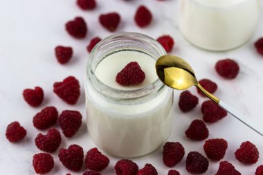 Genç yeşil lale. Bahar kartpostalı