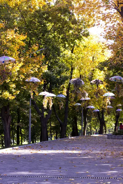 Dekor Form Von Sonnenschirmen Stadtpark Herbstpark — Stockfoto