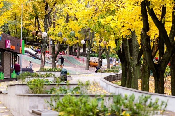 Herbstpark Der Ukraine Schöner Herbstpark Mit Gelben Ahornen — Stockfoto