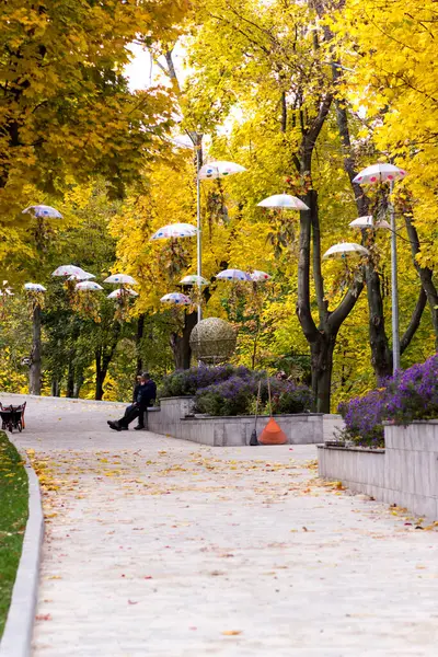 Herbstpark Der Ukraine Schöner Herbstpark Mit Gelben Ahornen Grünes Hai — Stockfoto