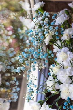 Hassas bir buket çingenenin yansıması. Bir buket kasımpatı