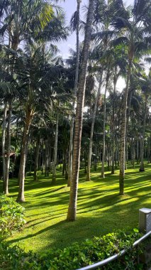 Picturesque flora of the Canary Islands. Loroparque, Tenerife. Tropical flowers, a heavenly vacation