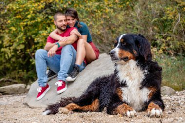 Birbirine aşık mutlu bir çift, Bernese dağ köpekleri nöbet tutarken büyük bir kaya parçasının üzerinde oturup sarılıyor..