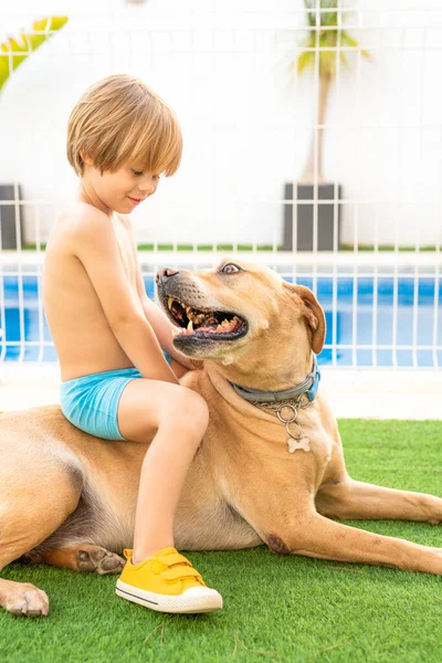 2人の親友 子供の男の子と彼の犬は屋外で遊ぶ — ストック写真