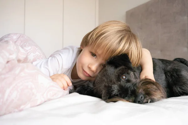 かわいいブロンドの子供 幼児の男の子 自宅で彼のペット犬とベッドの上に横たわる — ストック写真