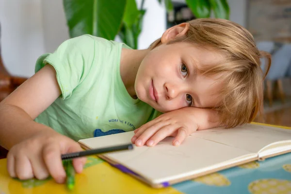 Zurück Zur Schule Porträt Eines Kleinen Jungen Beim Schreiben Zeichnen — Stockfoto