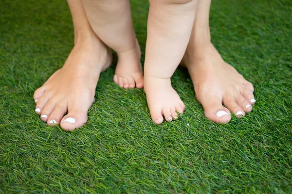Ножки Матери Ребенка Стоят Зеленой Траве Первые Шаги Пешком Выборочный — стоковое фото