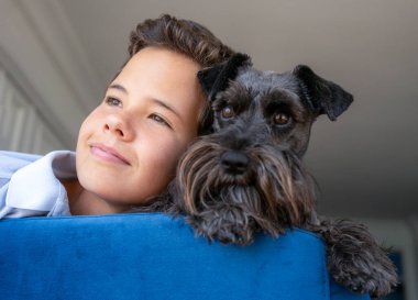 Çekici bir schnauzer 'a sarılan yakışıklı çocuk. Yakın plan, kapalı mekan. Bakım, eğitim, itaat eğitimi ve evcil hayvan yetiştirme kavramı