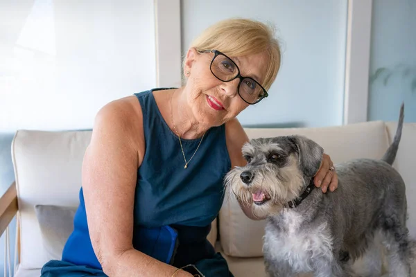 Cheerful retired senior woman with wrinkles smiling while embracing her Schnauzer dog and enjoying time with pet at home