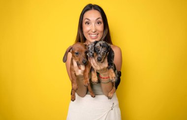 Sarışın, sevimli bir kadın sarı arka planda izole edilmiş dachshund köpeklerini tutuyor ve kucaklıyor. Hayvanlara sevgi, evcil hayvan konsepti. Neşeli kadın kucağında Dachshund köpekleri.