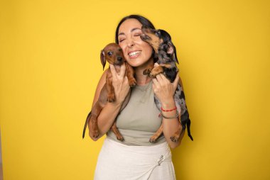 Sarışın, sevimli bir kadın sarı arka planda izole edilmiş dachshund köpeklerini tutuyor ve kucaklıyor. Hayvanlara sevgi, evcil hayvan konsepti. Neşeli kadın kucağında Dachshund köpekleri.