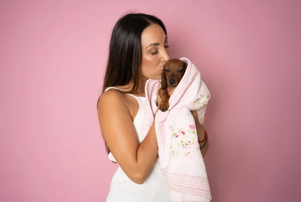 여자는 그녀의 강아지 Dachshund 포옹하고 그것을보고 소유자 사이의 분홍색 배경에 — 스톡 사진