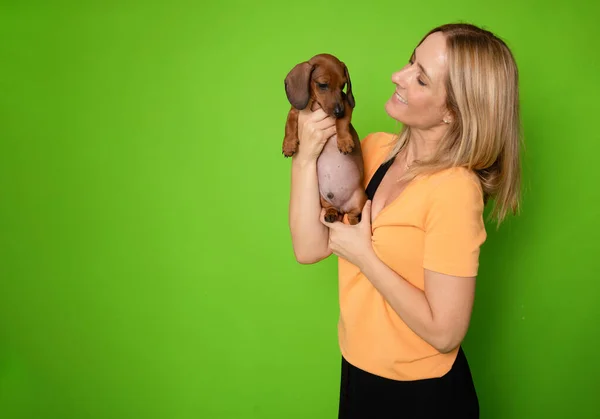 若い女性は彼女の子犬ダッハウンド犬を抱きしめ それを見ます 犬と飼い主との恋愛 緑色の背景に分離されています スタジオポートレート — ストック写真