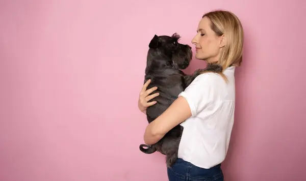 stock image Cute young woman hugs her puppy schnauzer dog. Love between owner and dog. Isolated on pink background