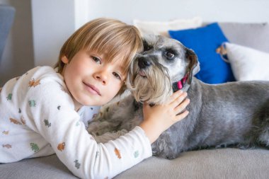 Küçük çocuk, çocuk, evcil köpekle yatakta yatıyor, küçük Schnauzer köpeği.