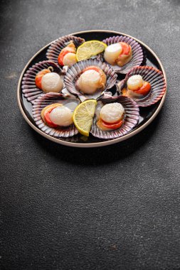 sea scallops in shell fresh seafood fast food healthy meal food snack on the table copy space food background rustic top view pescatarian diet