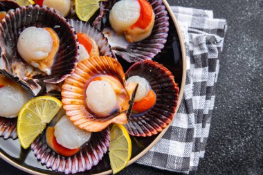 scallops in shell fresh seafood meal food snack on the table copy space food background rustic top view pescatarian diet