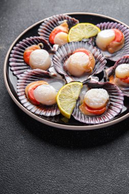 fresh scallop shell seafood meal snack on the table copy space food background rustic top view