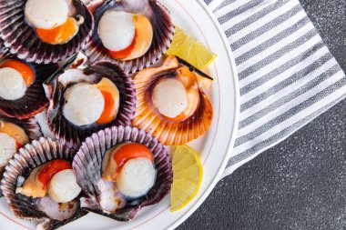 fresh scallop shell seafood meal snack on the table copy space food background rustic top view 