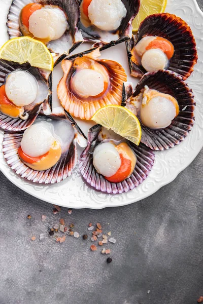 stock image fresh scallop shell seafood meal snack on the table copy space food background rustic top view 