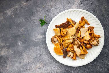 Mantar salatası aperatifi beyaz mantar boletus mantarı, chanterelle mantarı. Masada sağlıklı yemek atıştırmalıkları yemeye hazır.