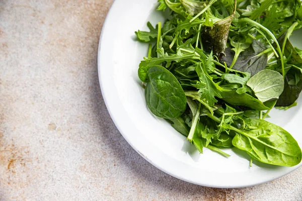 Frunze Salată Verde Amestecă Micro Verde Alimente Gustare Sănătoase Masă — Fotografie, imagine de stoc