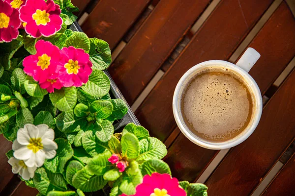 Filiżanka Kawy Odkryty Kwiat Primrose Wielobarwny Kopia Przestrzeń Jedzenie Tło — Zdjęcie stockowe