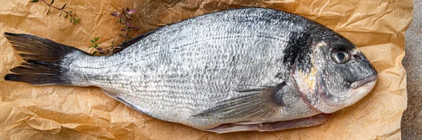 Taze Balık Deniz Ürünleri Çiğ Yiyecekler Fotokopi Masasında Arka Plan — Stok fotoğraf