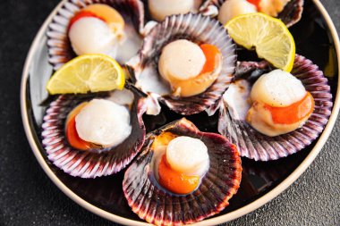 deniz ürünleri kabuklu deniz ürünleri abur cuburu masa üzerinde fotokopi alanı arka plan kırsal üst görünüm 